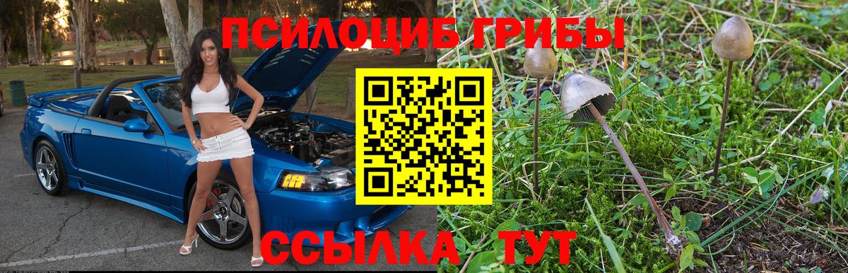 Галлюциногенные грибы GOLDEN TEACHER  Вход с VPN  Вологда 